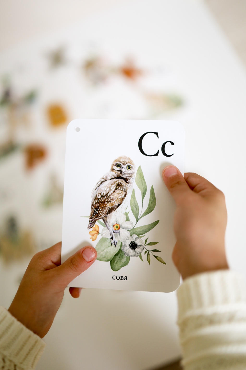 Child holding an illustrated owl alphabet card